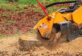 Best Lawn Renovation and Restoration  in Deming, NM